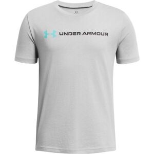 Under Armour WORDMARK Chlapčenské tričko, sivá, veľkosť