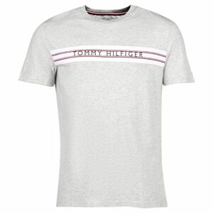 Tommy Hilfiger CLASSIC-CN SS TEE PRINT Pánske tričko, sivá, veľkosť M