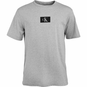 Calvin Klein ´96 GRAPHIC TEES-S/S CREW NECK Pánske tričko, sivá, veľkosť L