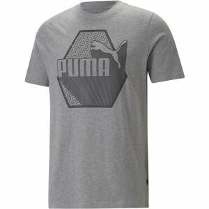 Puma GRAPHICS RUDAGON TEE Pánske tričko, sivá, veľkosť M