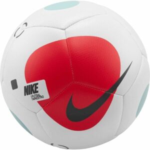 Nike FUTSAL MAESTRO Futbalová lopta, biela, veľkosť